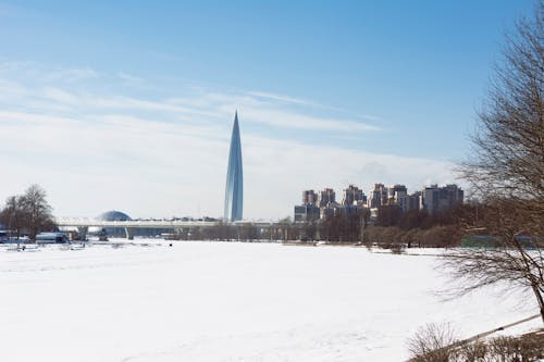 Безкоштовне стокове фото на тему «горизонт, зима, містах»