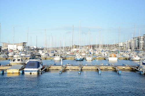 Boats in the Harbor Jetty