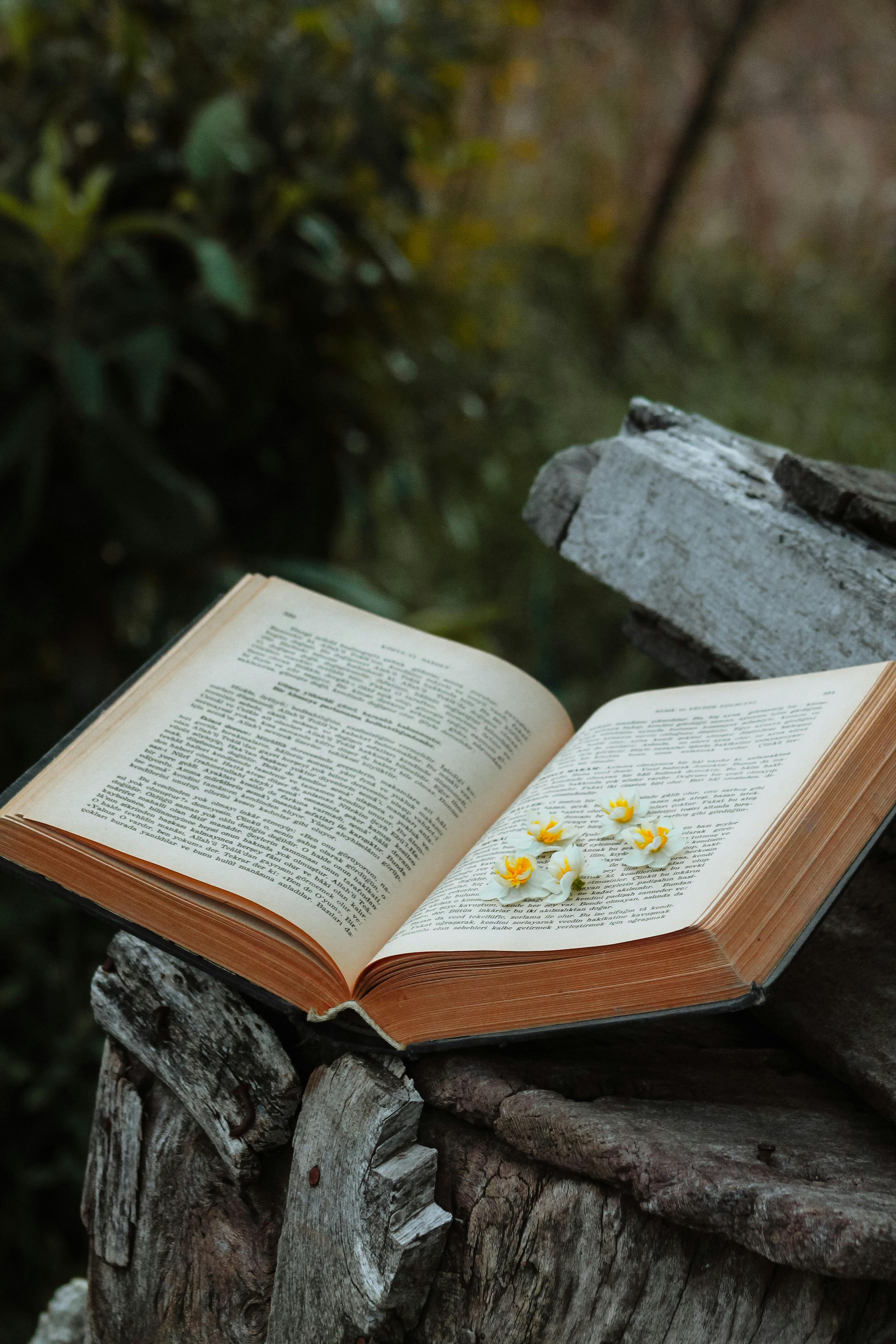 Flowers on Book Pages · Free Stock Photo