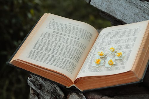 White Flowers over Book Pages