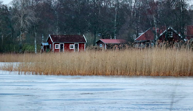 Cabins On River Bank Near Forest