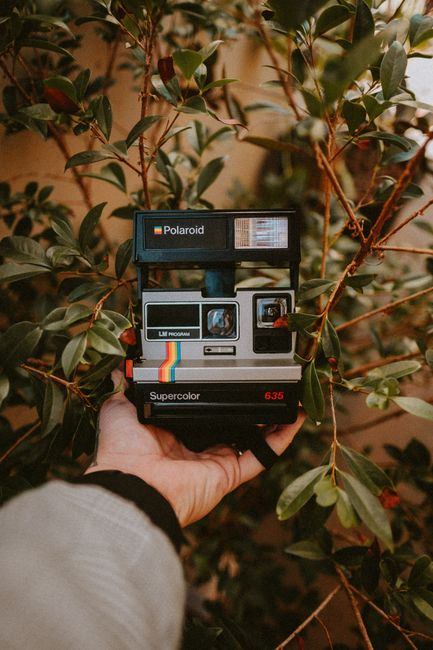 Retro Polaroid camera held against leafy backdrop in Mirassol, Brazil.