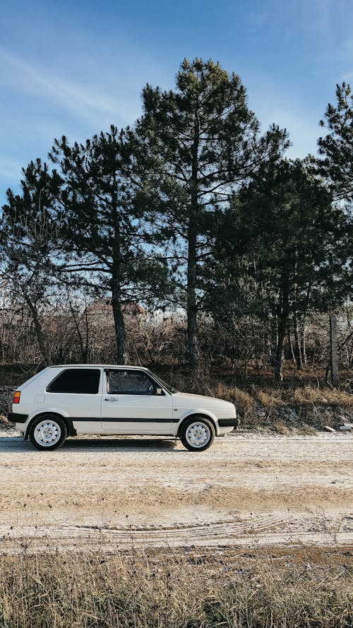 Foto d'estoc gratuïta de aparcat, arbres, camí de carro