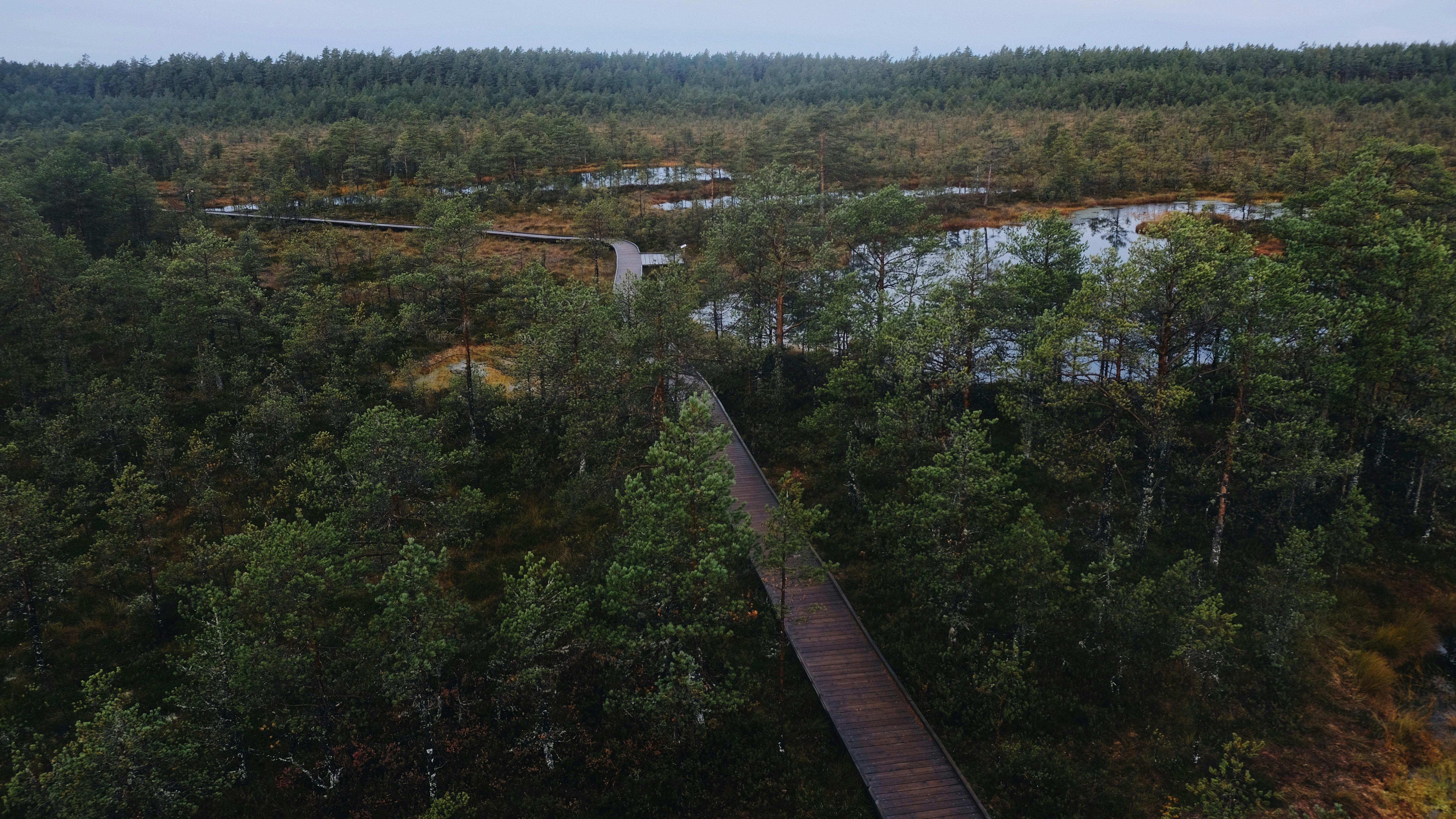 哥特巷秋金小时代表，高清