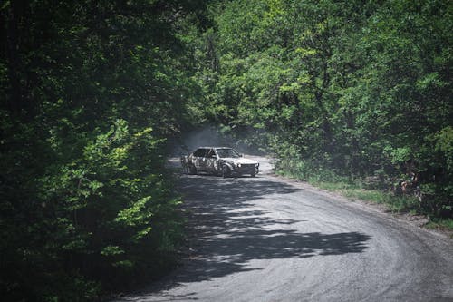 Foto profissional grátis de árvores verdes, automobilismo, deriva