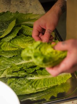 Lettuce, Cos Or Romaine (Raw)