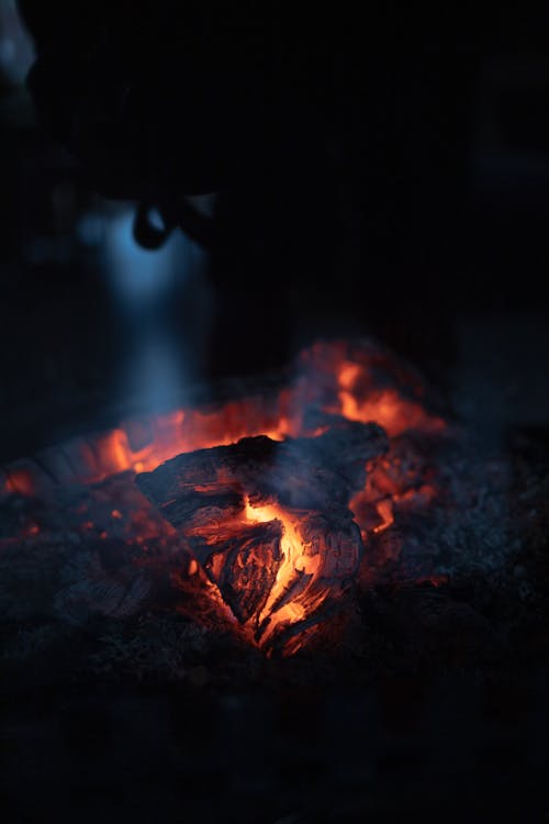 Close-up of Bonfire Burning in Dark
