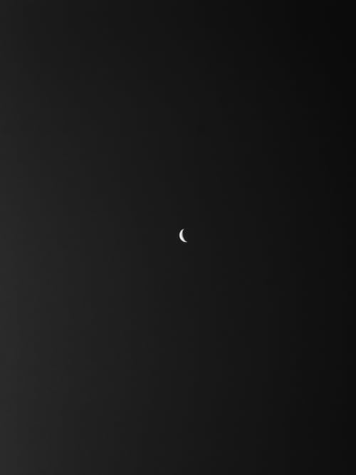 A Crescent Moon in the Night Sky 
