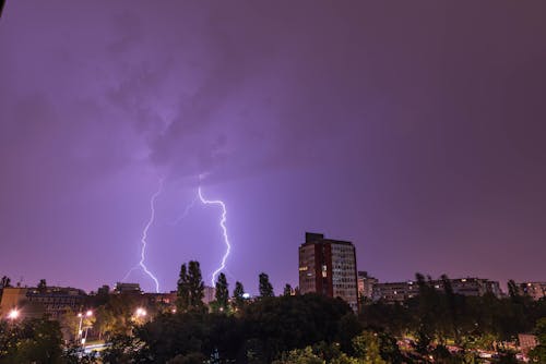 ağaçlar, akşam karanlığı, gece gökyüzü içeren Ücretsiz stok fotoğraf