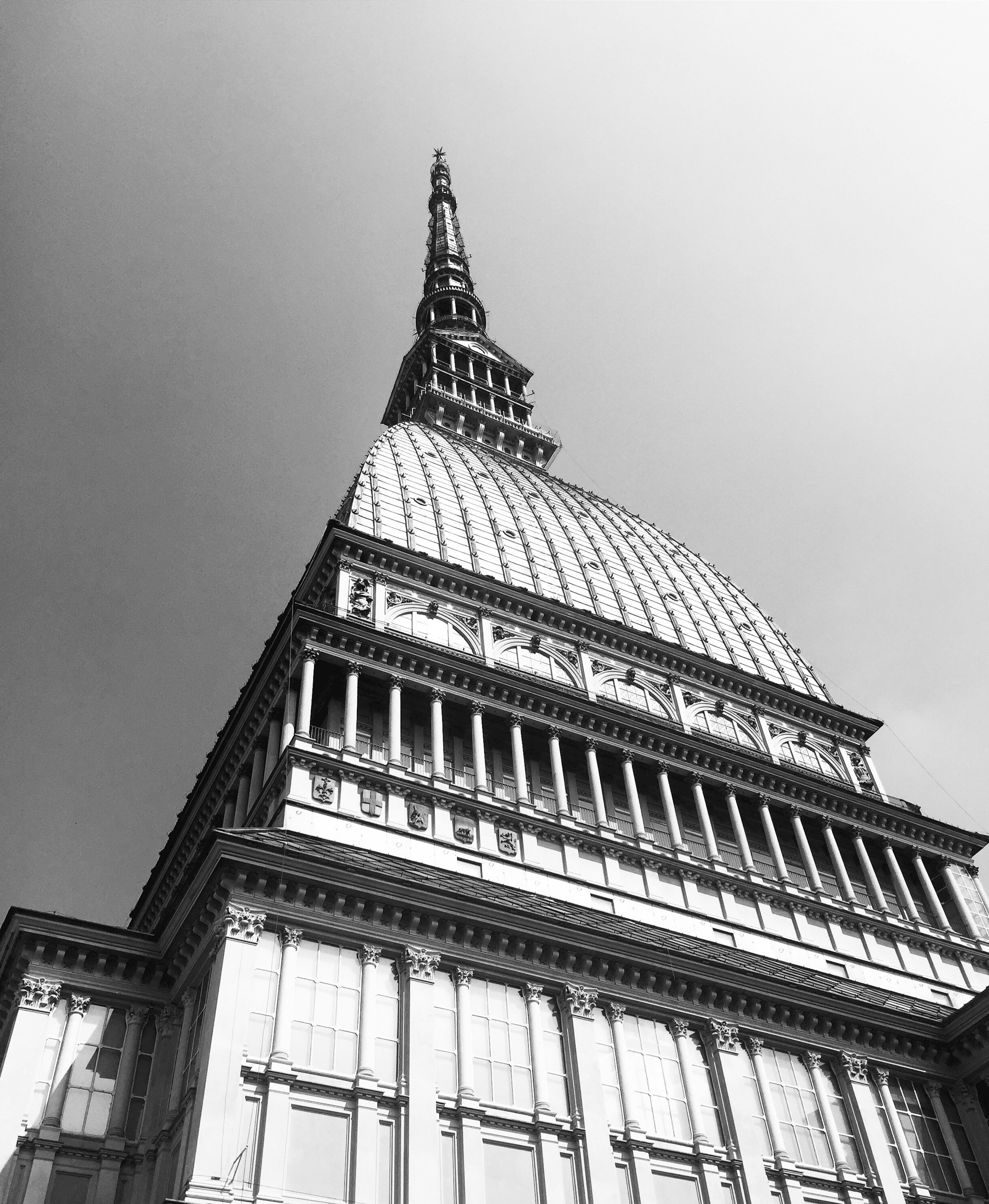 mole removal Alondra Park