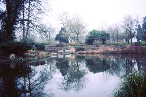 Free Peaceful winter scene of a lake reflecting bare trees and greenery. Stock Photo