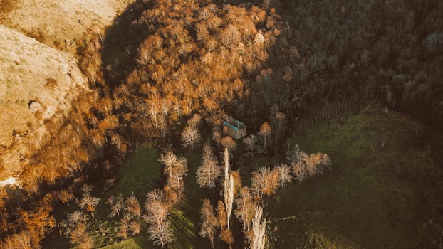 Drone shot of a solitary cabin nestled in an autumn forest, surrounded by trees and hills.
