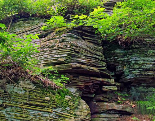 Free Vibrant greenery surrounds intricate layered rock formations, showcasing natural beauty outdoors. Stock Photo