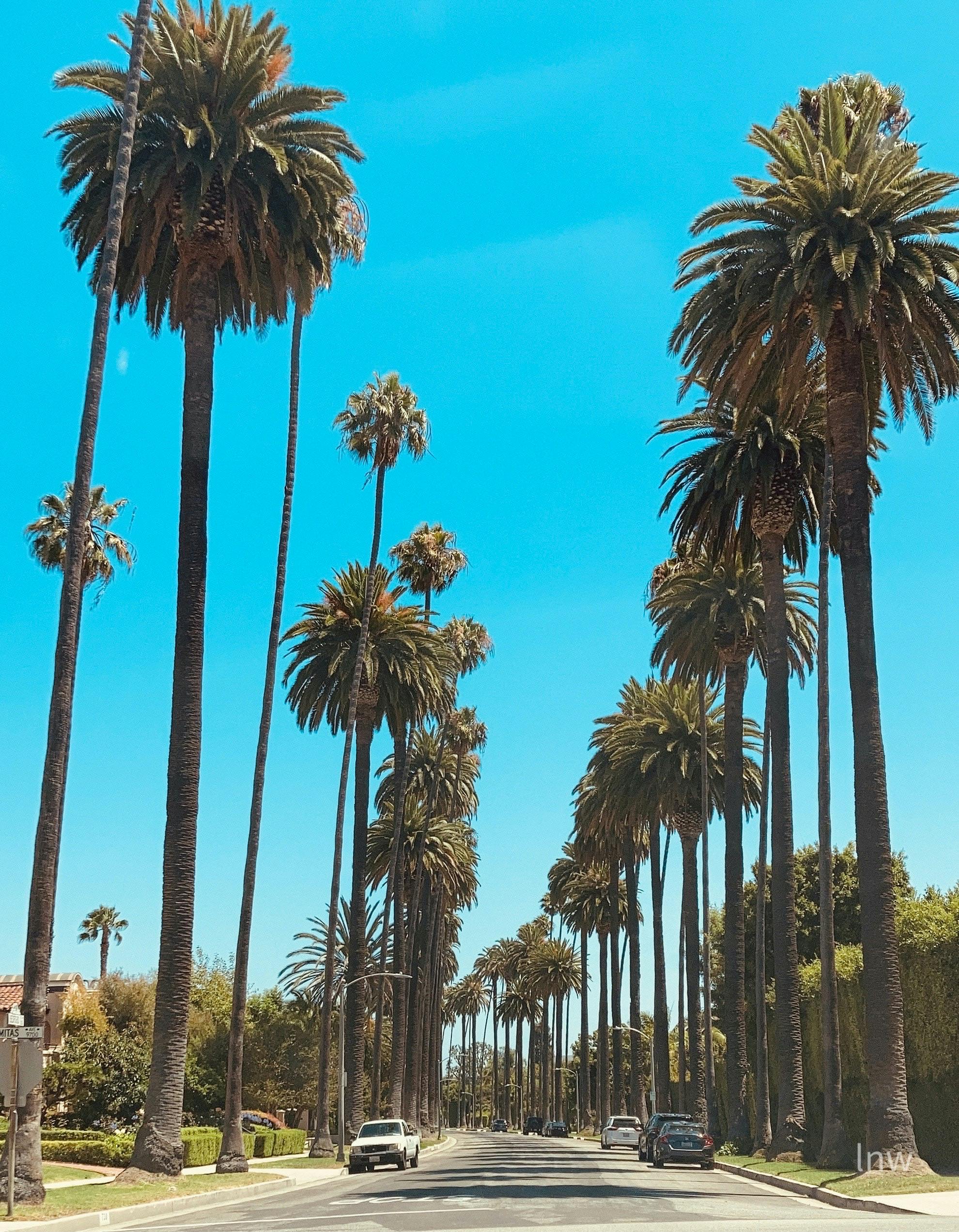 Beverly Hills,ca - Image & Photo (Free Trial)