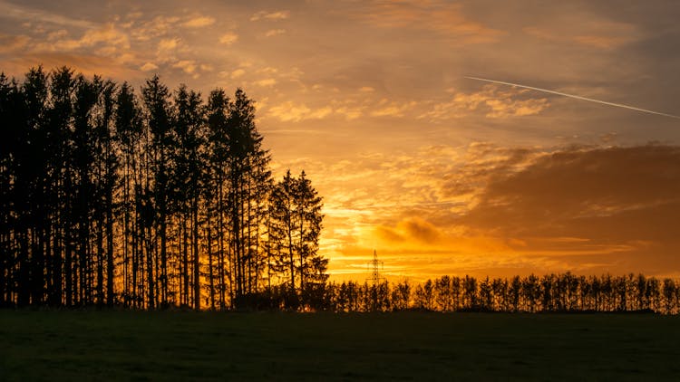 Silhouette Of Field With Trees During Sunset