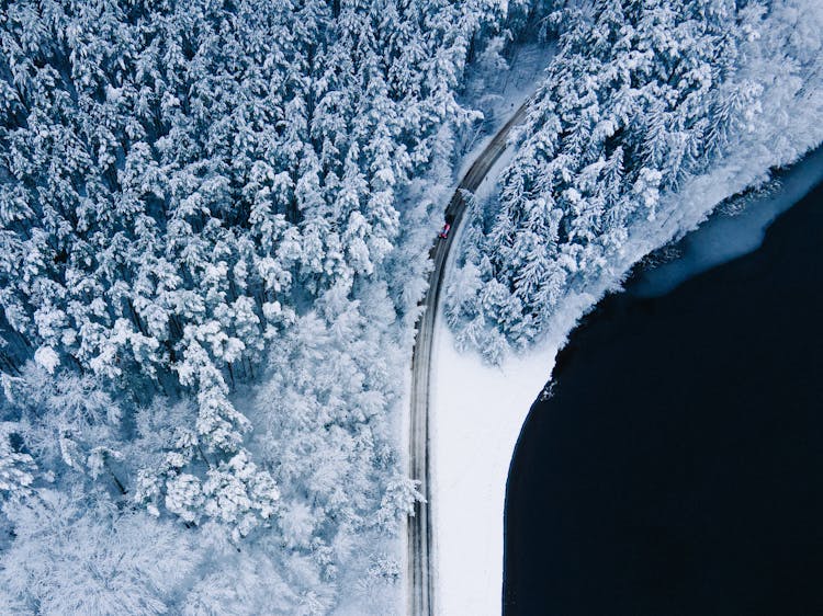 Road In Forest In Winter