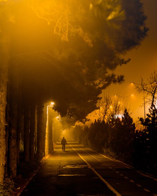 Silhouette of a Person Walking Along an Illuminated Street at Night