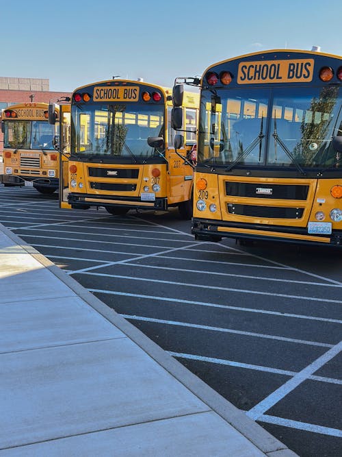 Fotos de stock gratuitas de autobuses escolares, carros amarelos, estacionamiento