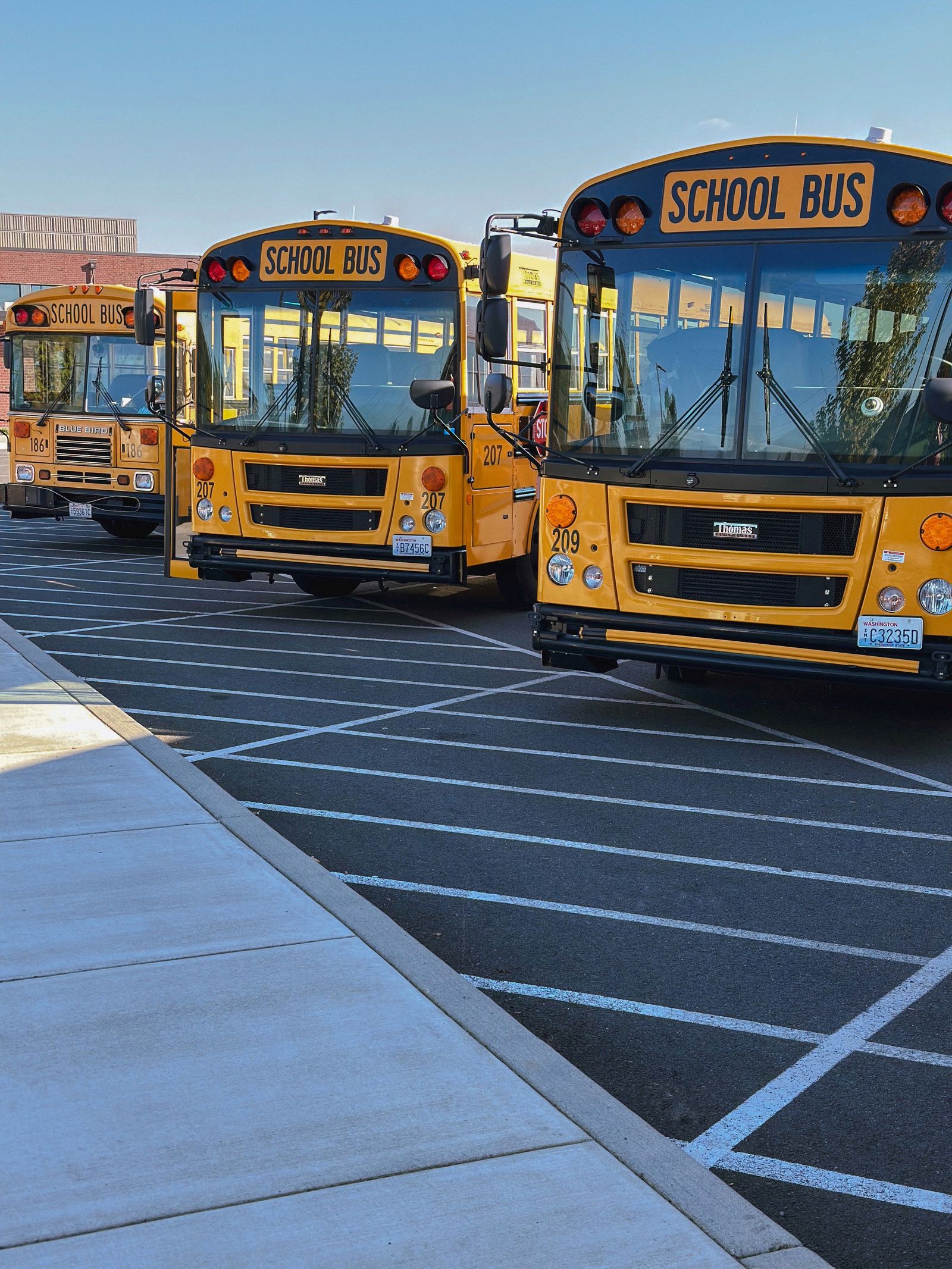 Yellow school buses lined up in a school parking lot under a clear sky