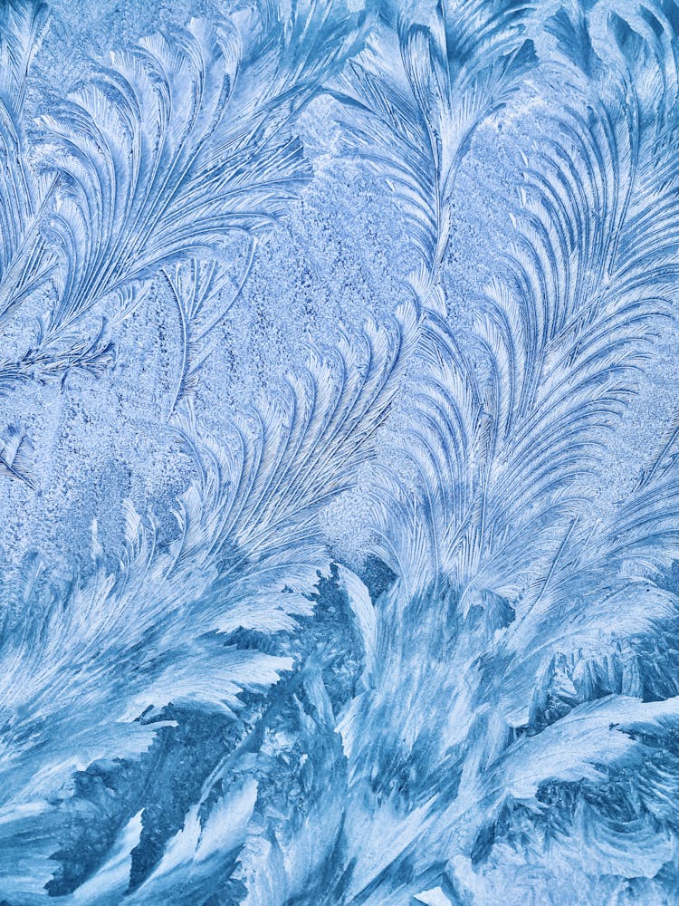 Frost Pattern 