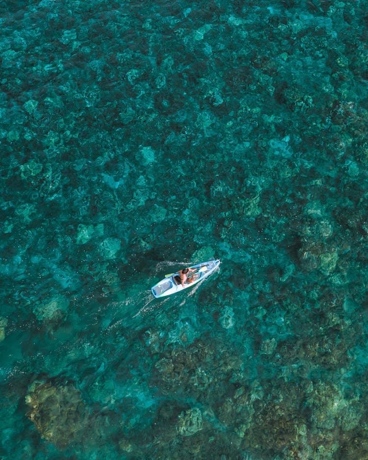 Top View Of Man On Boat