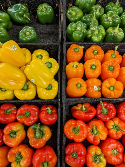 Free Vibrant collection of fresh bell peppers in varied colors at a local market. Stock Photo