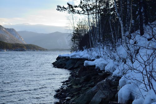 Frosty Riverbank in Mountains 