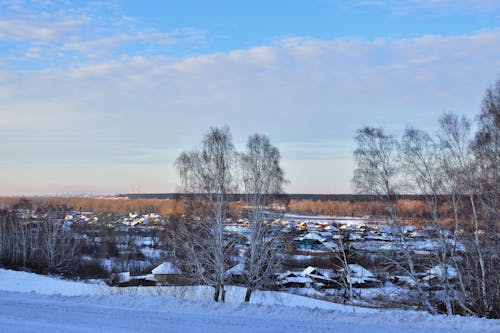 Houses in Snow in Winter Countryside