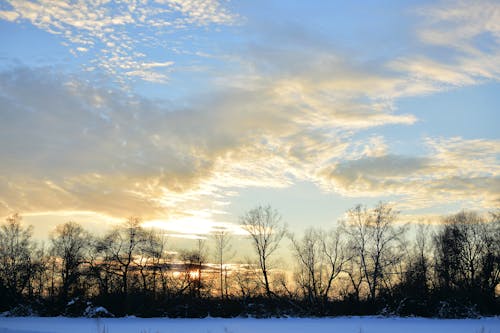 Winter Landscape with Tree Silhouettes, and Clouds in the Sky