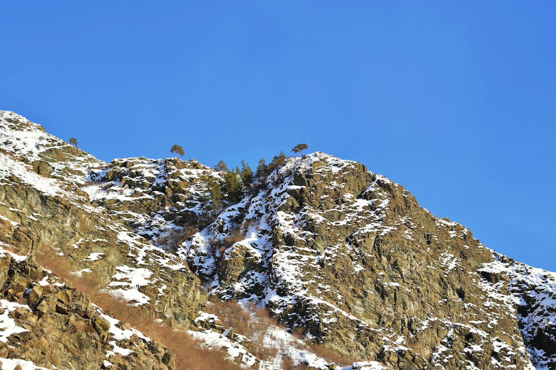 서산 유기방가옥 갤러리 이미지