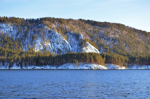 Mountain Coast with Forest in Winter