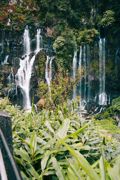 Free stock photo of cascade, island, landscape