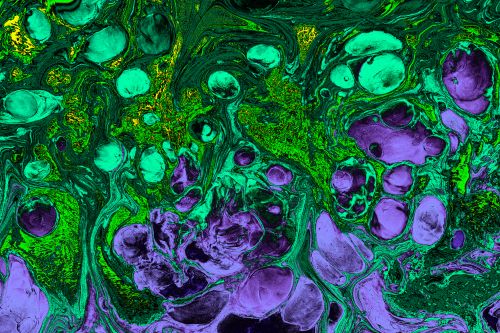 Free Vibrant abstract artwork featuring swirls of green and purple with organic shapes. Stock Photo