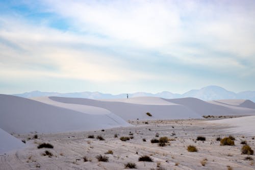 Scenic Landscape of a Desert 