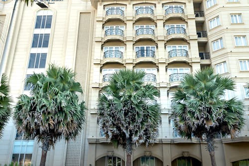 Free Palm Trees Beside a Hotel Building Stock Photo