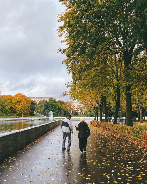 Free A senior couple strolls through a park surrounded by autumn leaves and trees. Stock Photo