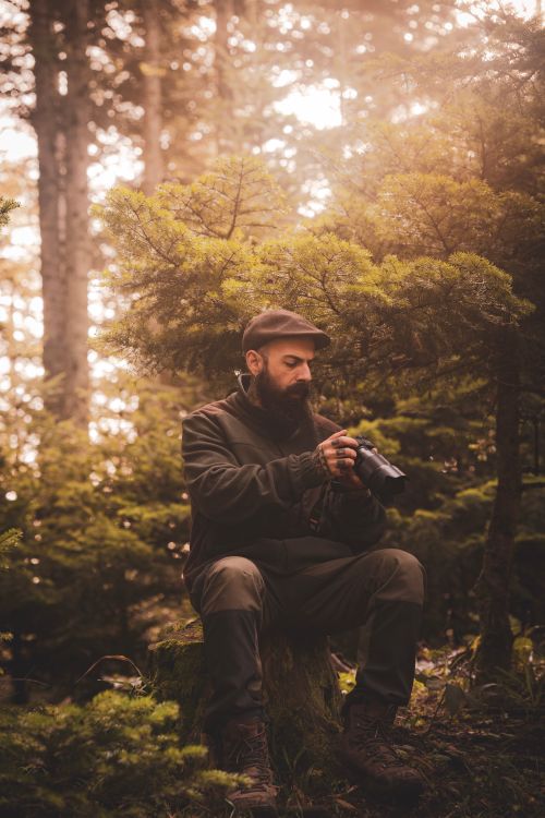 Free A bearded man in a forest setting with a camera, surrounded by lush trees and natural light. Stock Photo