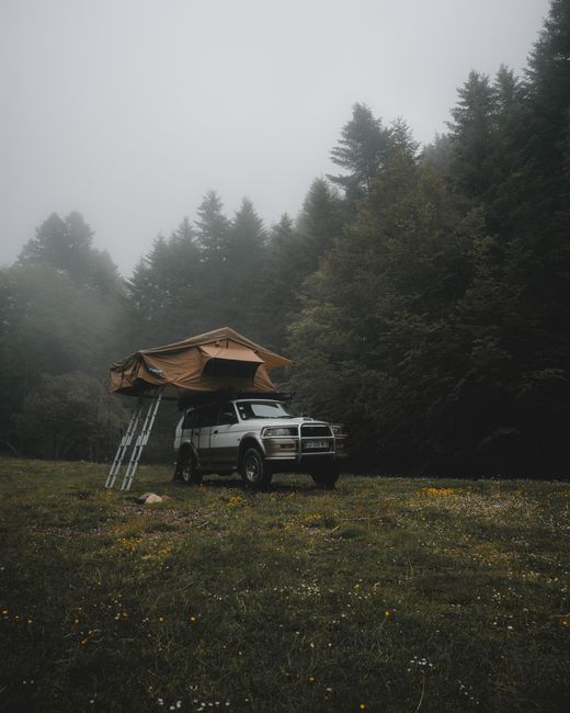 Explore adventure camping with a rooftop tent in a foggy forest meadow.