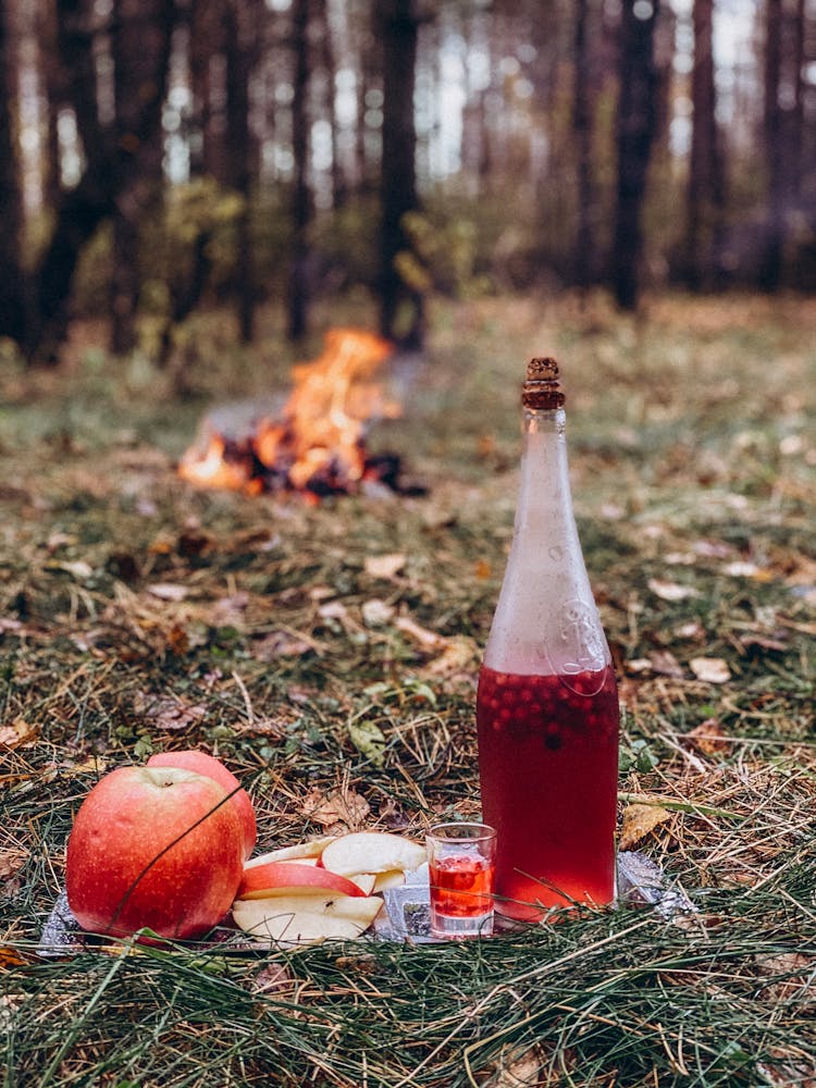 Photo Of A Campfire In The Forest With A Wine, A Glass And An Apple