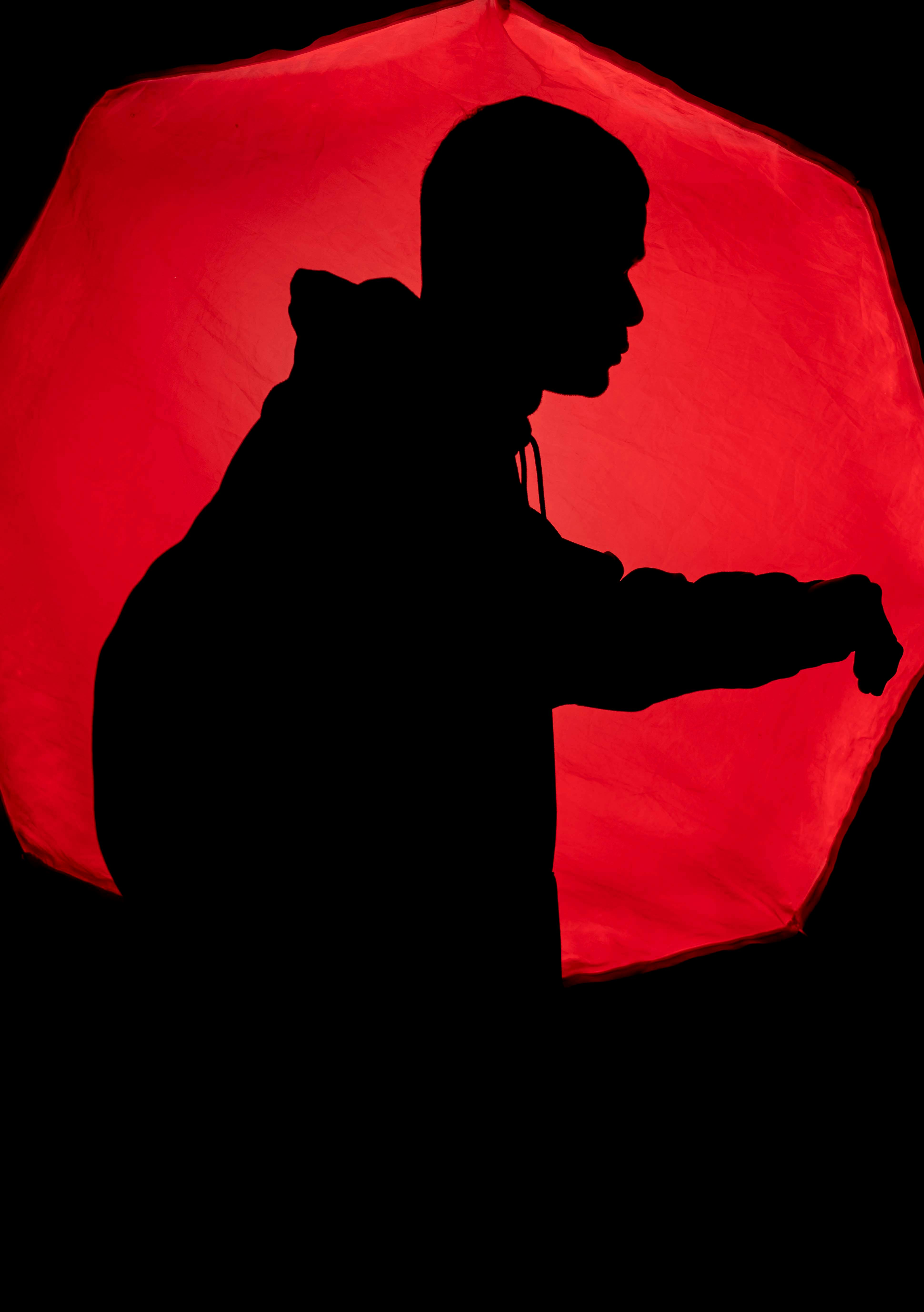 Artistic silhouette of a person in profile with bold red background, emphasizing geometric shapes.
