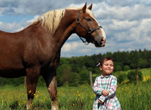 Free A young girl enjoys the outdoors beside a majestic brown horse in a vibrant green field. Stock Photo