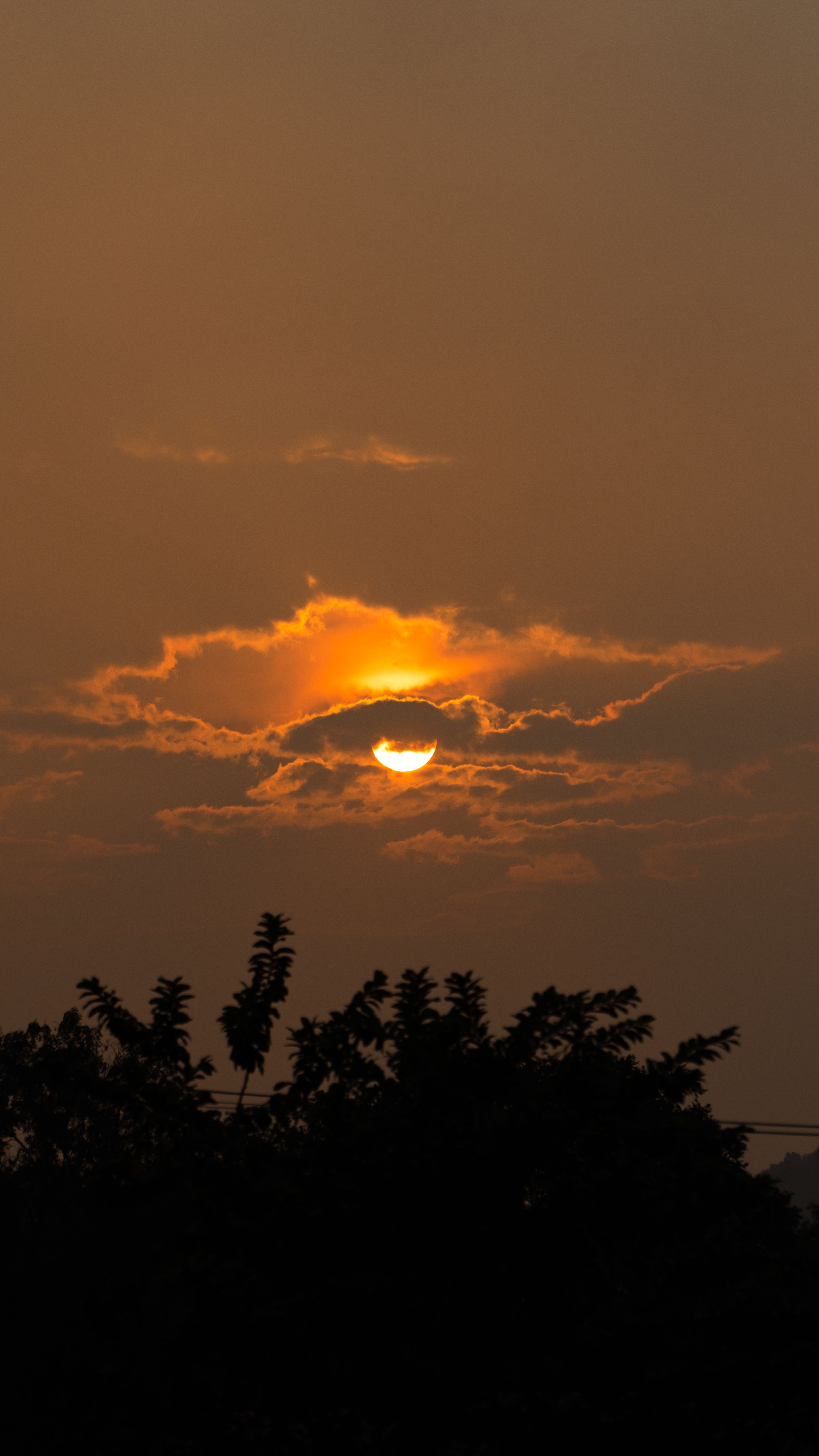  Foto zu Sunrises Photos, Download The BEST Free Sunrises Stock Photos & HD Images 