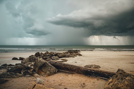 A dramatic beach scene with storm clouds gathering over the horizon, casting shadows on rocks and driftwood.