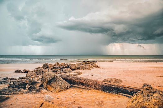Captivating beach view with driftwood and storm clouds over the horizon.