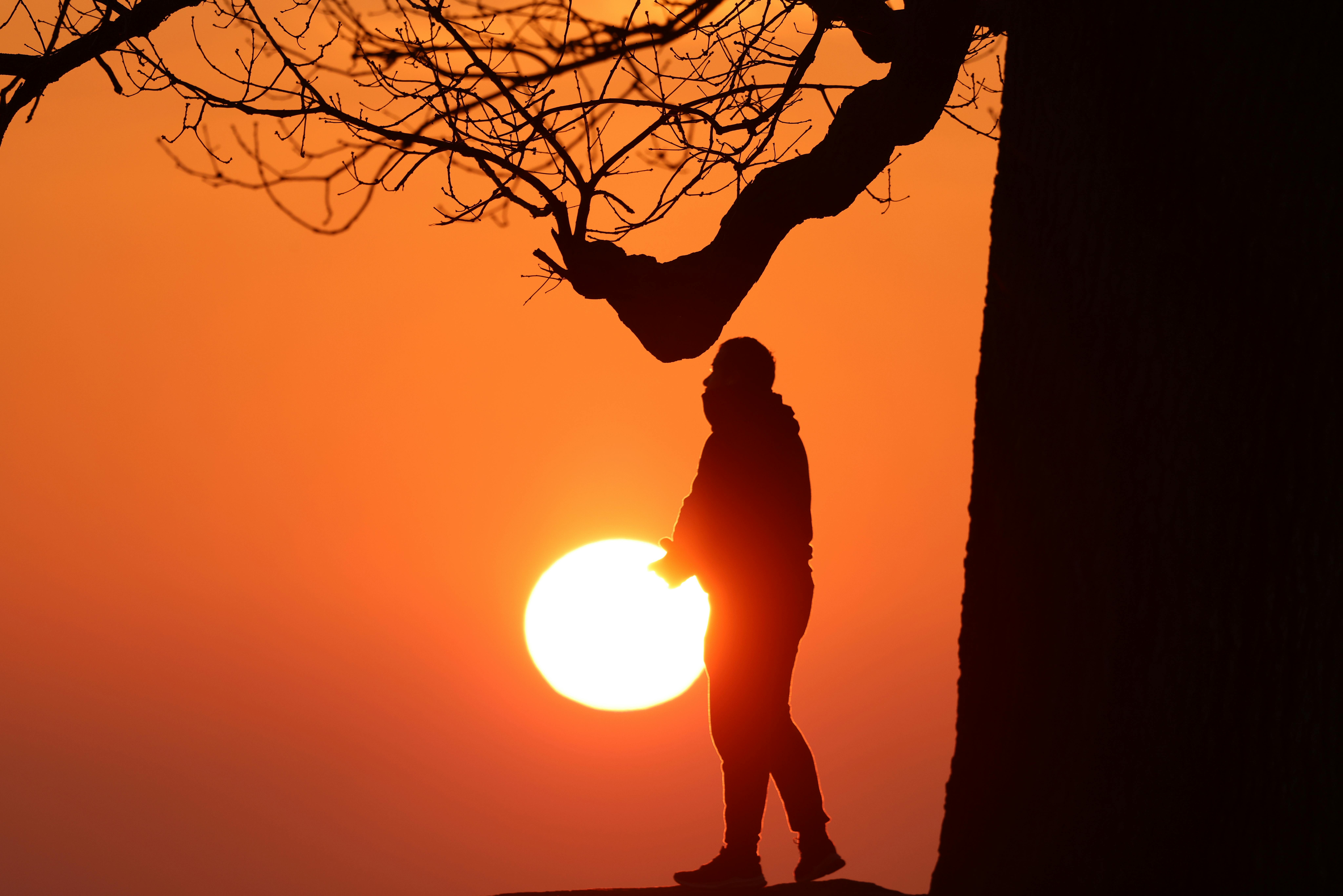 Silhouette of a Man · Free Stock Photo