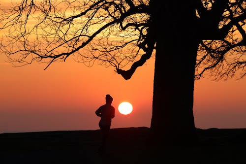 Free Silhouette of Person Running Near Bare Tree Stock Photo