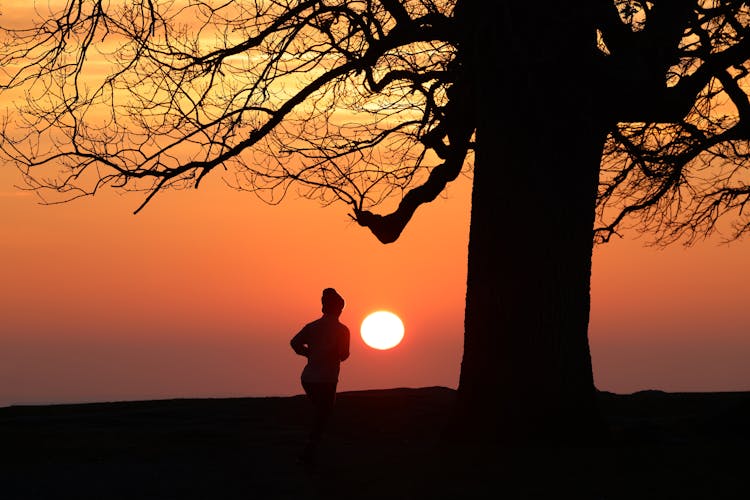 Silhouette Of Person Running Near Bare Tree