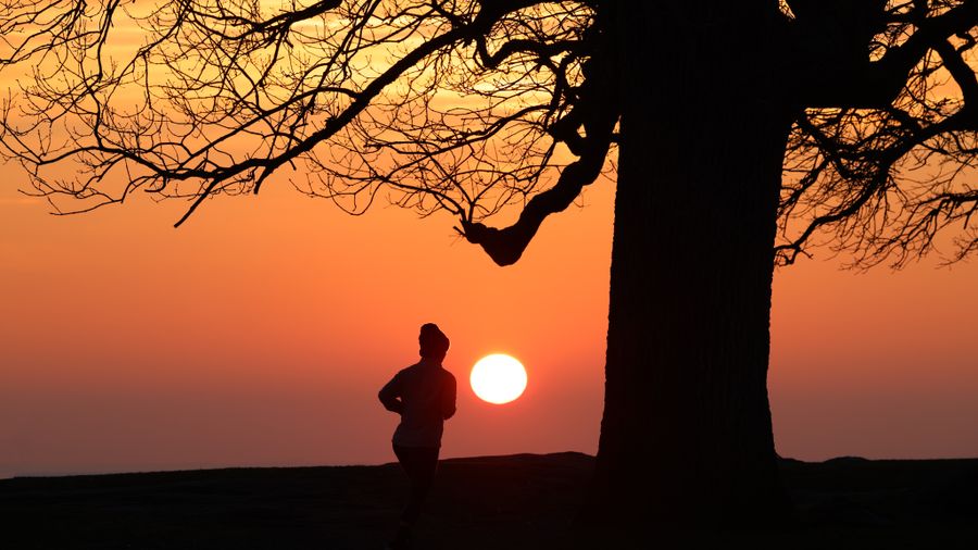 Choosing the Right Job Site for the Kind of Search You're Running
