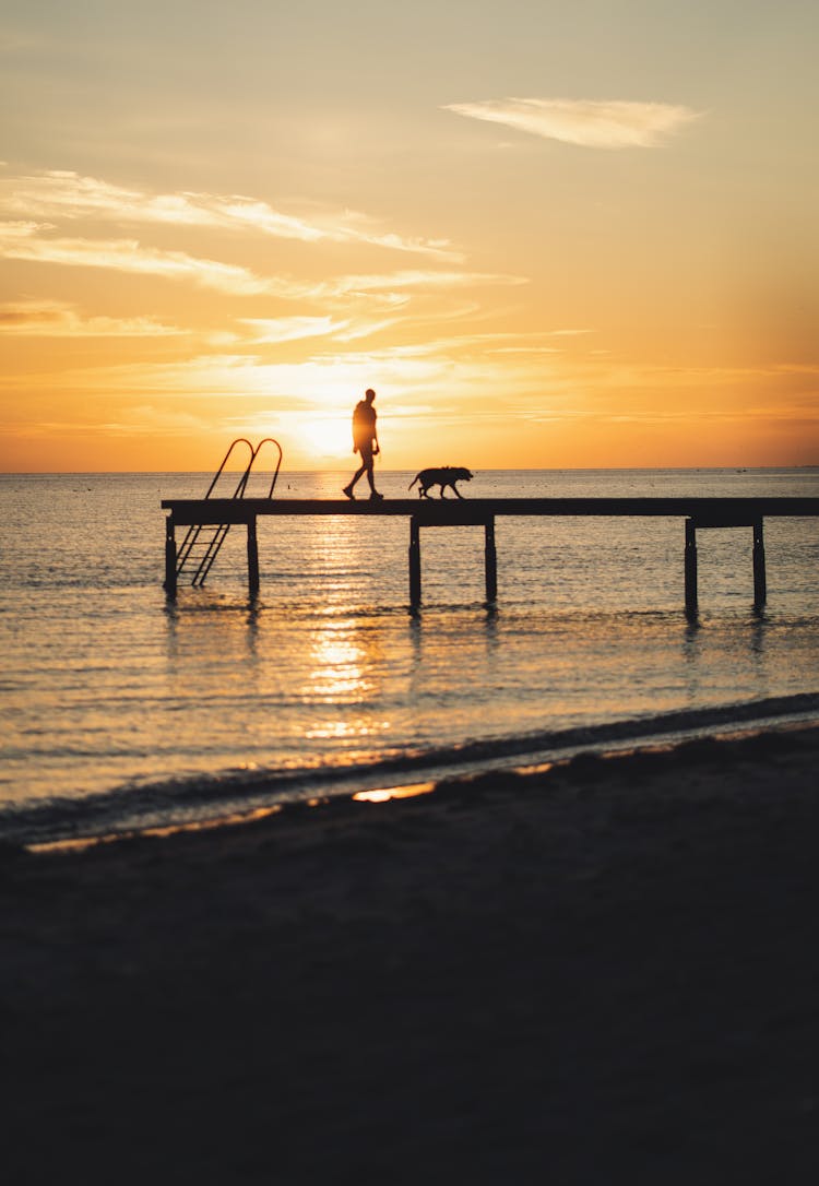 Silhouette Of A Person And Dog Walking On A Jetty During Golden Hour