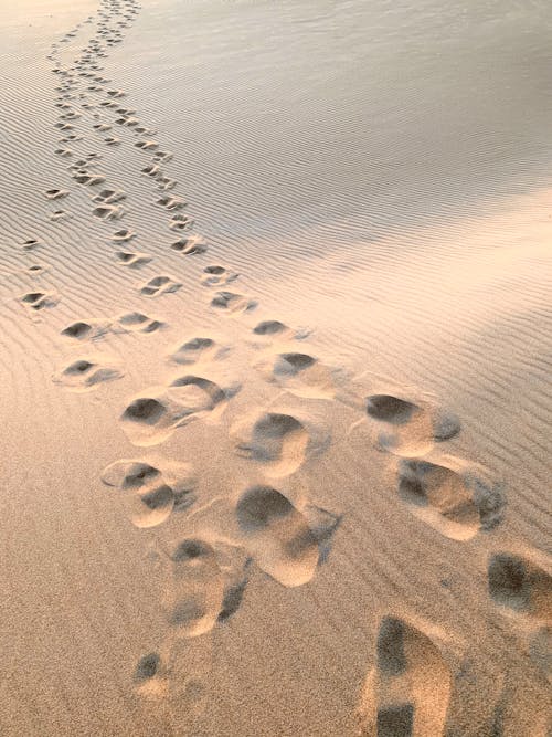 Free Footprints on a Desert Sand Stock Photo
